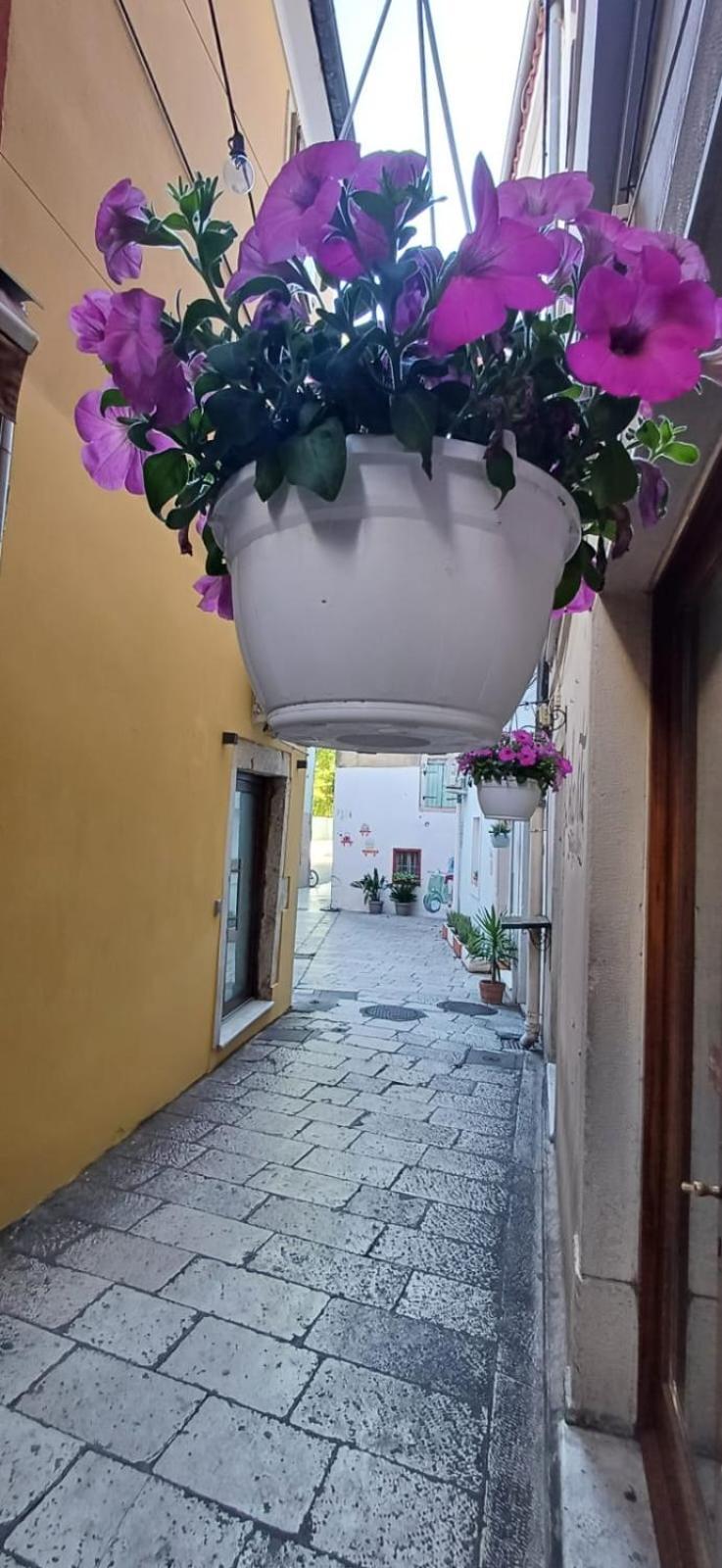 Vila Townhouse Sea View Zadar Exteriér fotografie